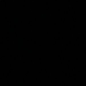 Meet your Posher, Ray